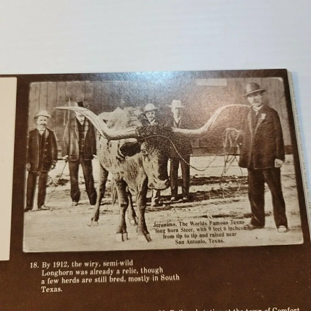 An Album of Old-Time Texas Postcards 32 Antique